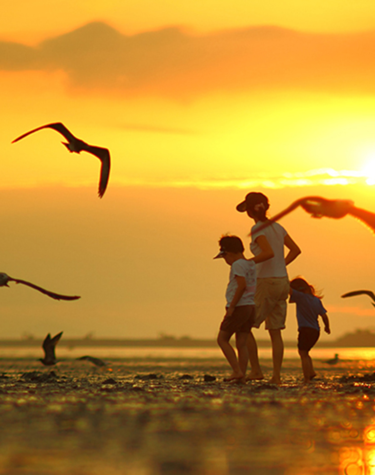 A picture of children walking on the mud flat and seagulls flying around in the sunset