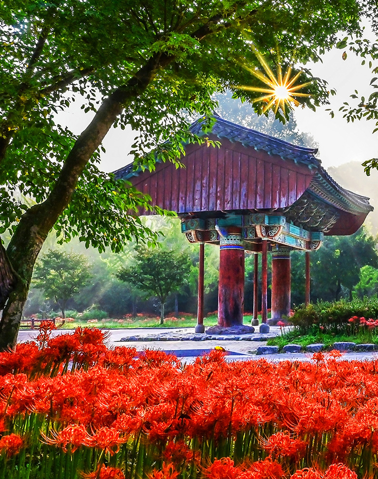 Morning of Seonunsa Temple in Gochang
